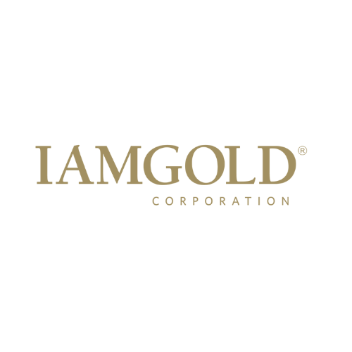 logo iam_gold